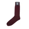 Corgi Brecon Port Mens Cotton Socks
